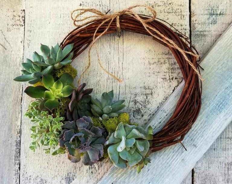 Succulent-Wreath-New-sm-1-2-5-1-2
