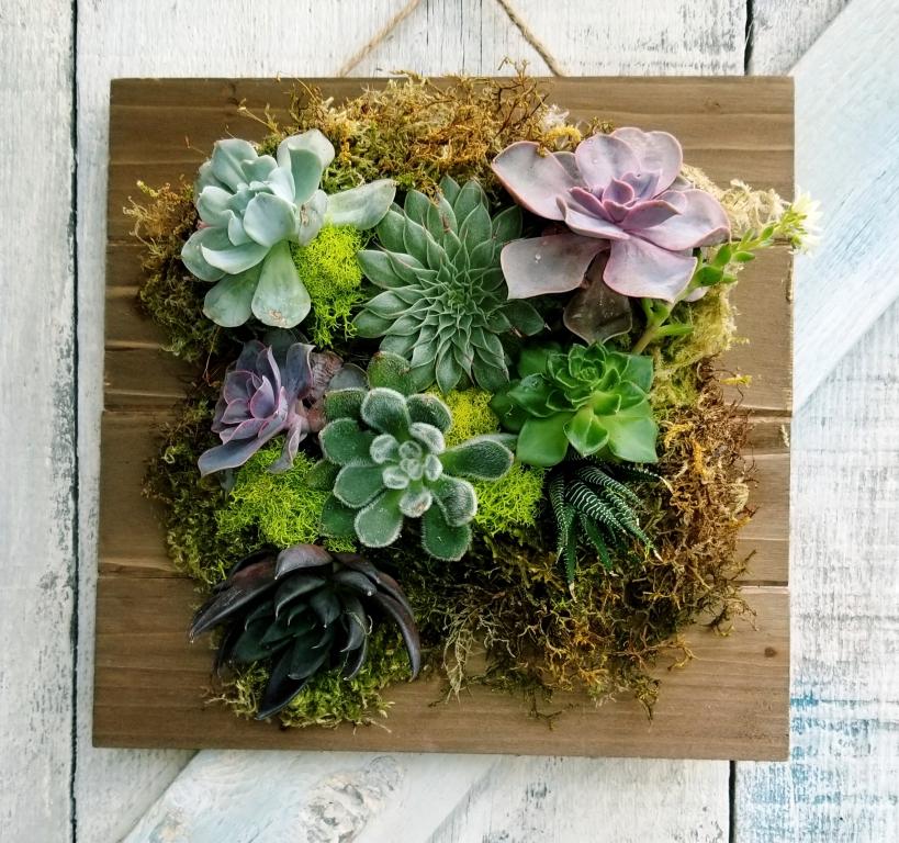 Succulent-Plaque-Centered-sm-2