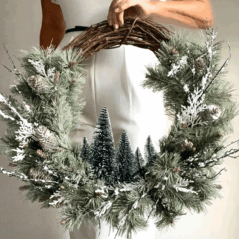 Bottle-brush-tree-480x454